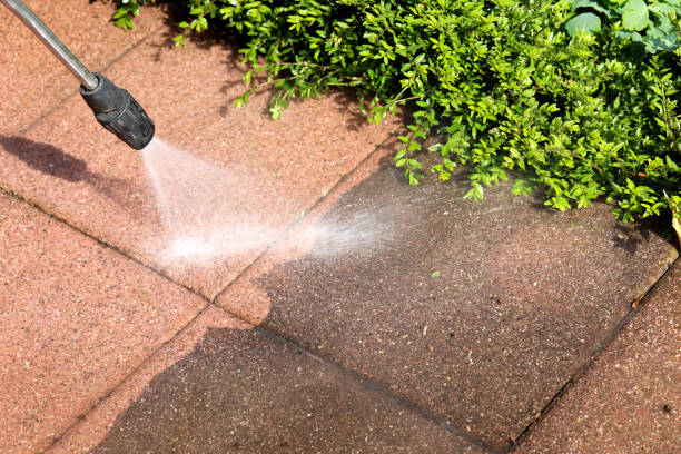 Professional Pressure Washing in Alliance, NC